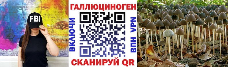 Псилоцибиновые грибы мицелий  darknet наркотические препараты  Усть-Катав 